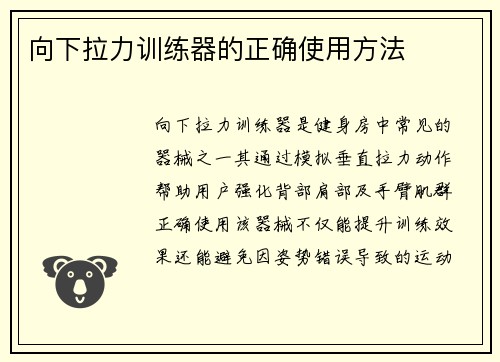 向下拉力训练器的正确使用方法